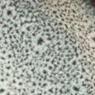 material_farbe