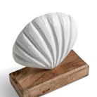 material_farbe