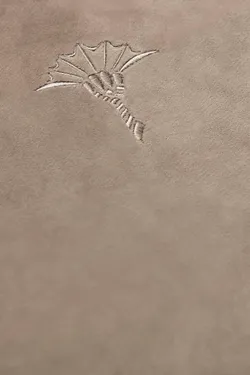 Sand material_farbe