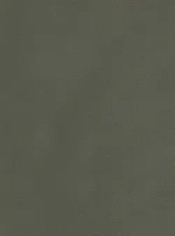 Avocado material_farbe