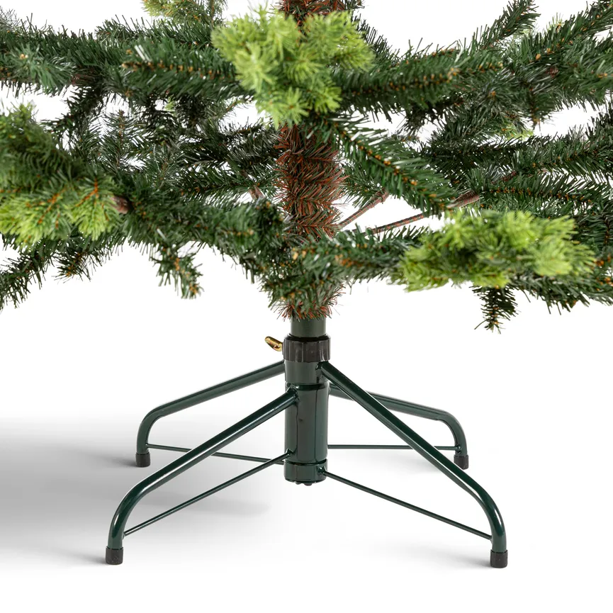 Tannenbaum M detail