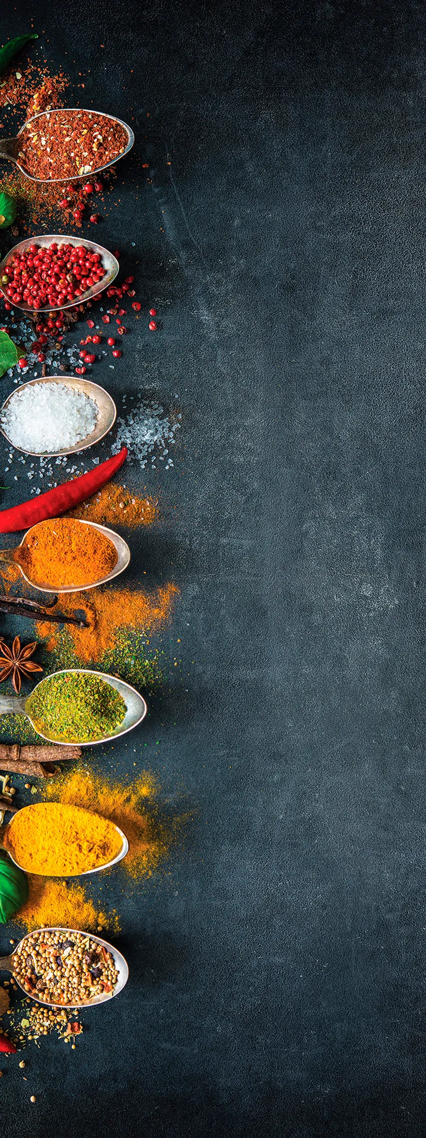 Küche / Kräuter - Spices II hauptaufnahme