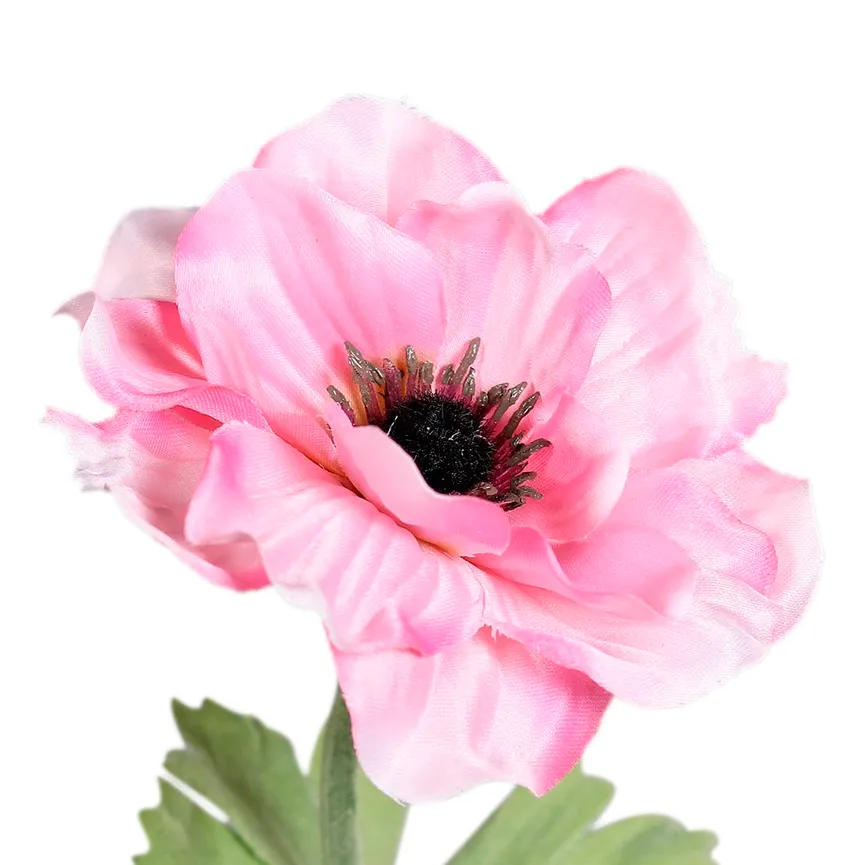 Anemone pink material_farbe