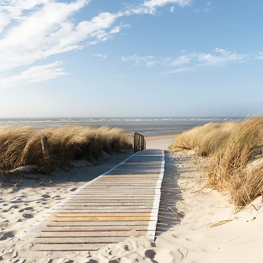 Landschaft Nordseeenjoy the be hauptaufnahme