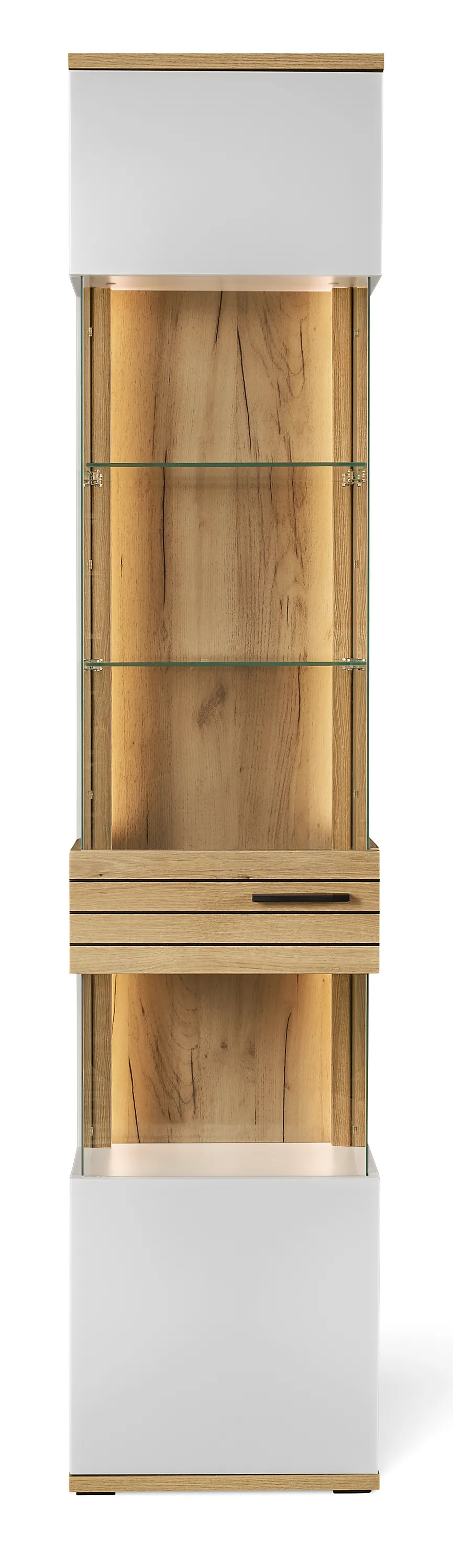 Vitrine hauptaufnahme