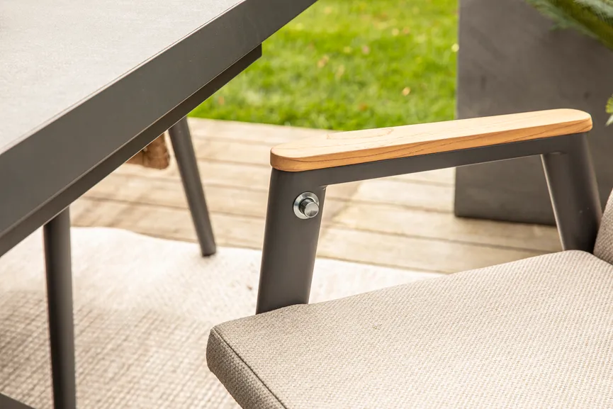 Dining Sessel detail