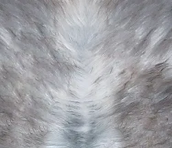 Grau material_farbe