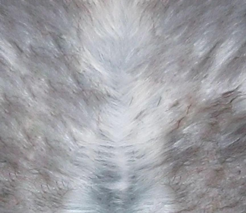 nordlandschnucken- material_farbe