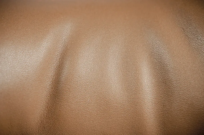 Tischleuchte "Dackel Waldi" detail
