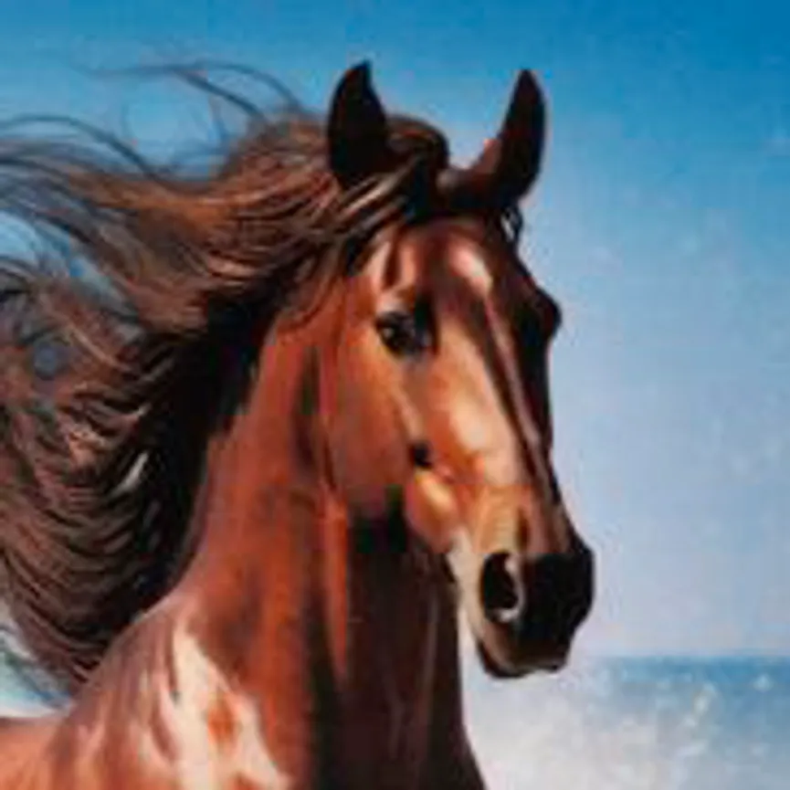 Trinkflasche pop-up campus material_farbe