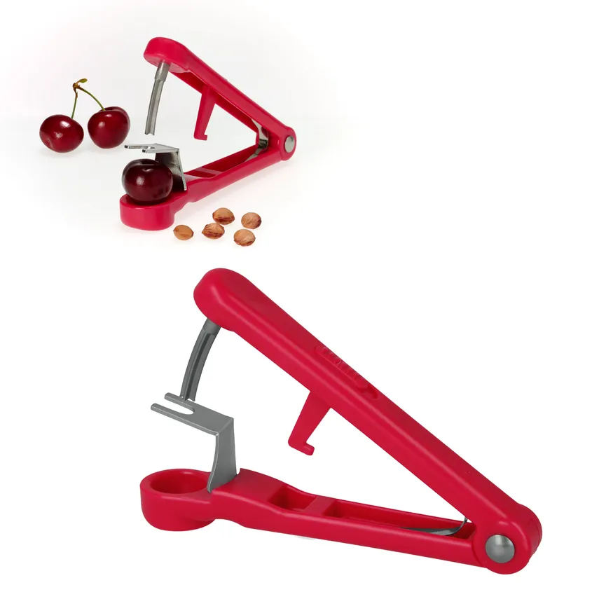 Kirschenentsteiner Lady Kirsch hauptaufnahme