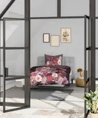 milieu