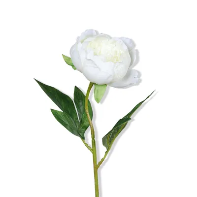 Kunstblume