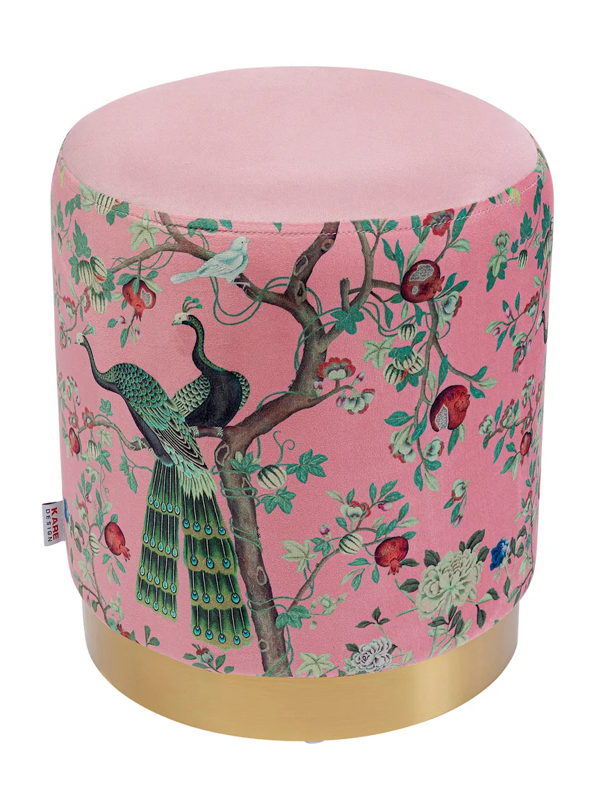 Hocker hauptaufnahme