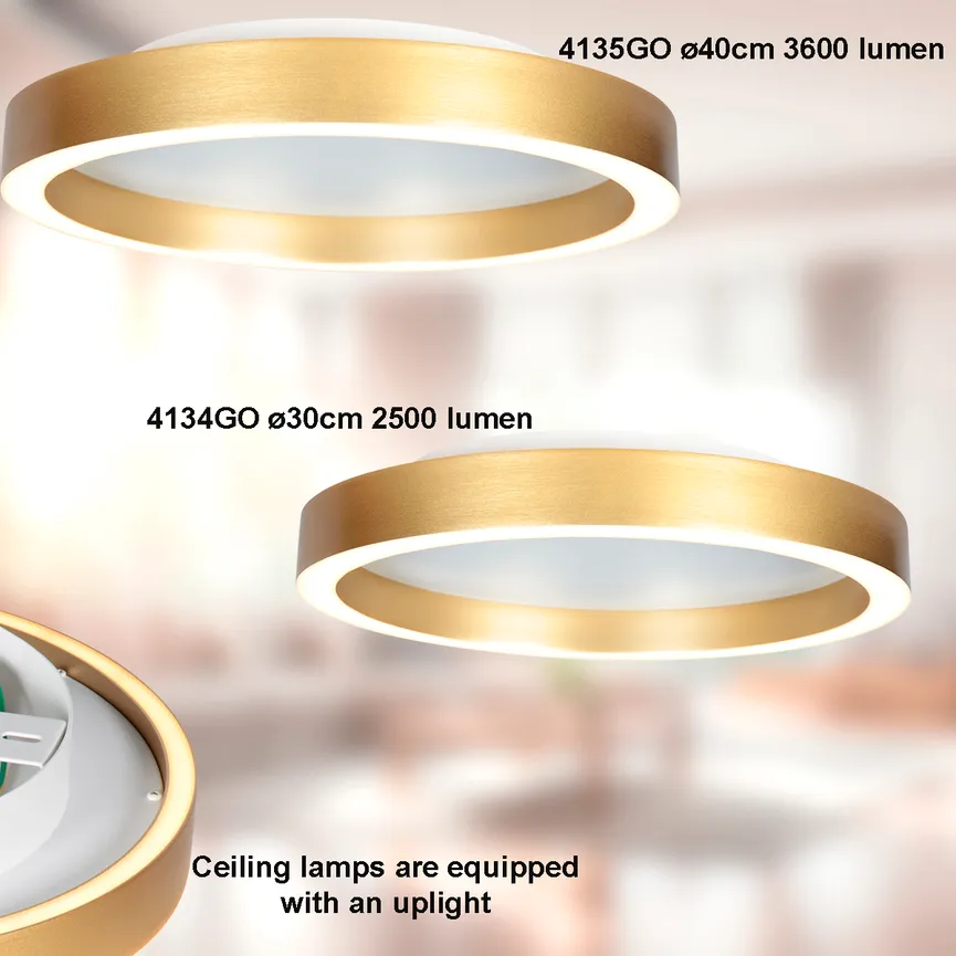 Deckenleuchte "Ringlux" detail