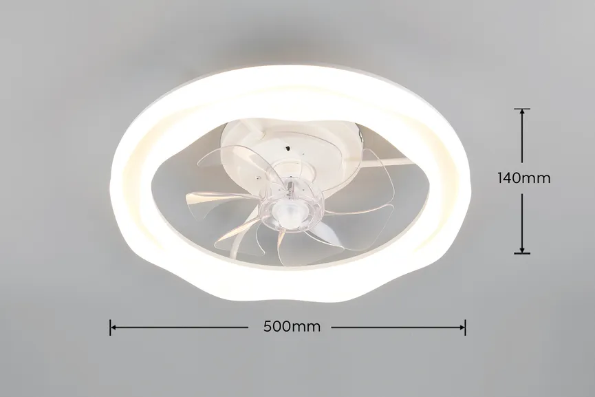 Ventilator "Skaulo" detail
