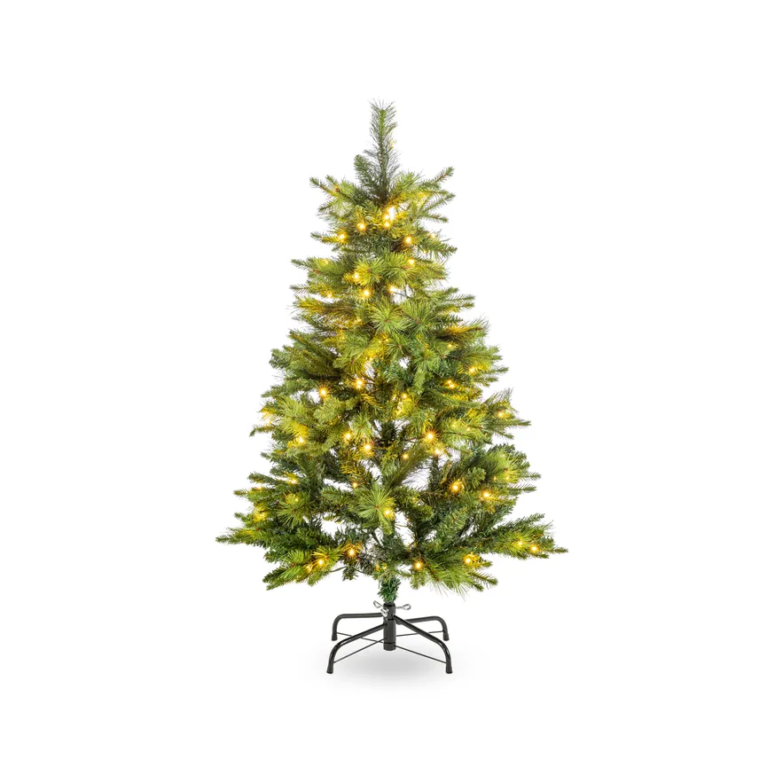 Tannenbaum S grün hauptaufnahme