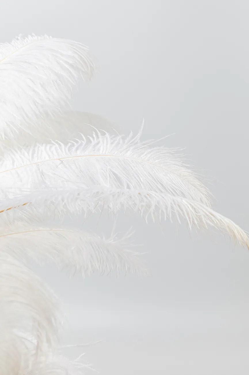 Tischleuchte "Feather Palm" detail
