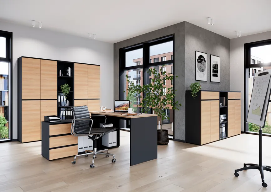 Aktenschrank 5OH milieu