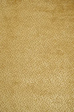 Honig material_farbe