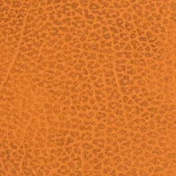 Curry material_farbe