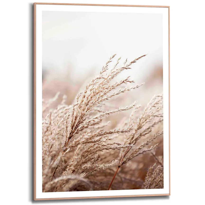 Bild gerahmt "Field Grass" hauptaufnahme