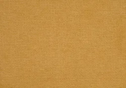 Mustard material_farbe