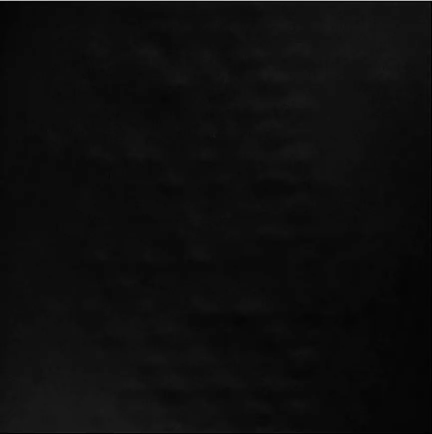 Jersey-Spannbett Sophie material_farbe