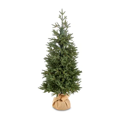 Weihnachtsbaum