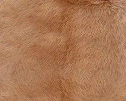 Braun material_farbe