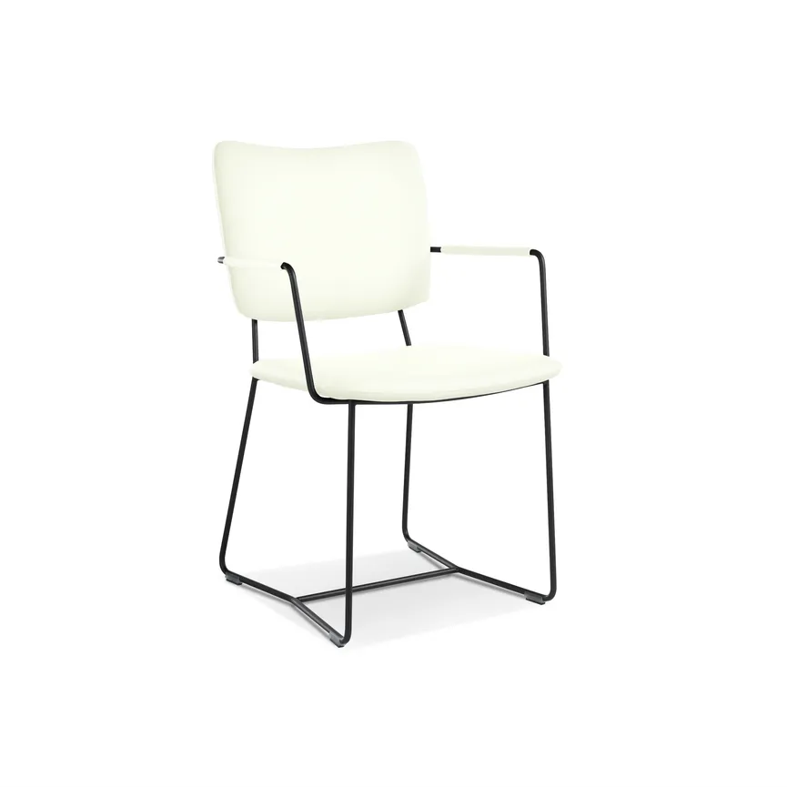 Armlehnstuhl K21 material_farbe