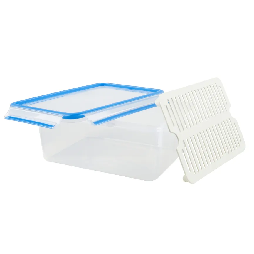 Frischhaltedose m.Abtropfgitte detail