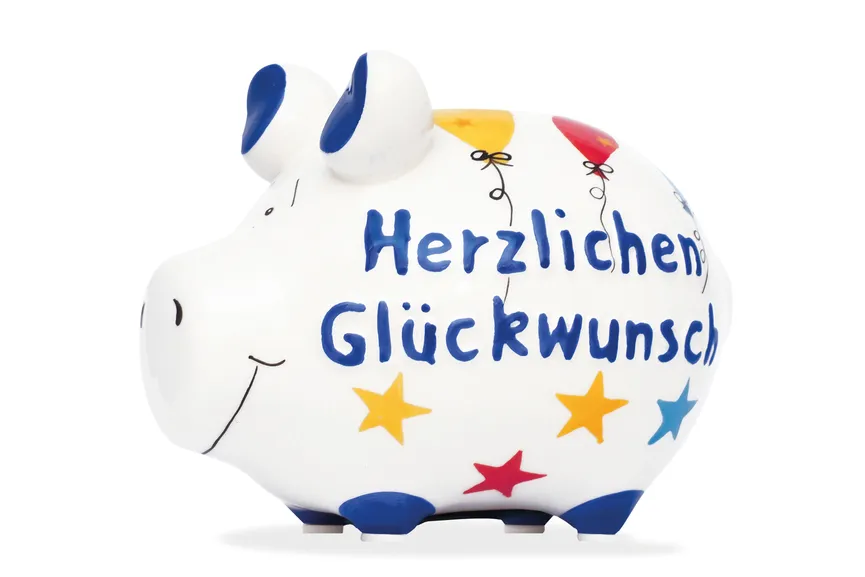 Sparschwein hauptaufnahme