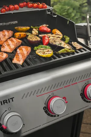 Gasgrill