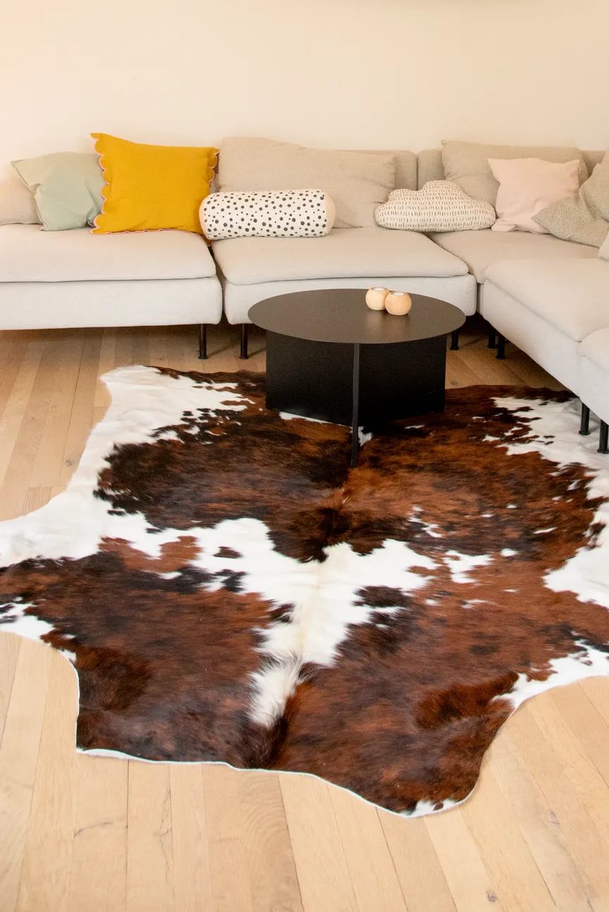 Rinderfell ca.3-4m² milieu