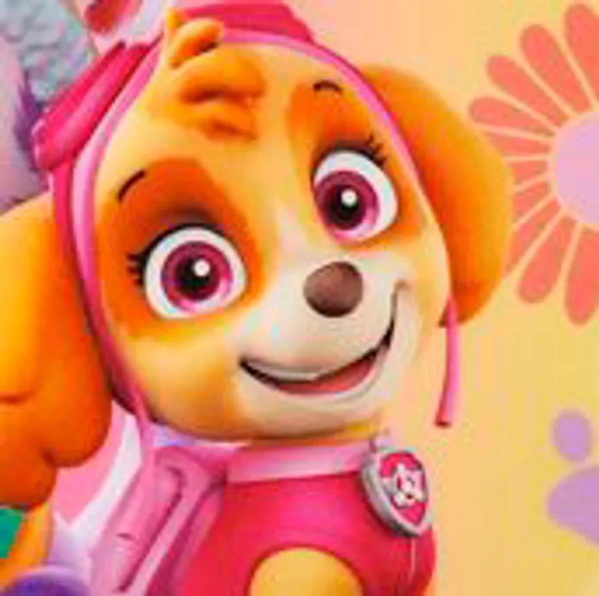 Brotdose campus paw patrol gir material_farbe