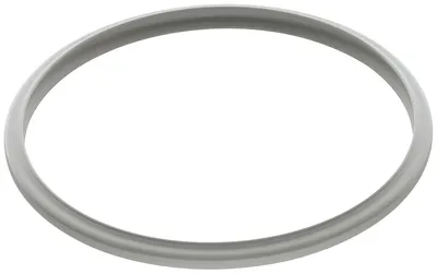 Dichtungsring