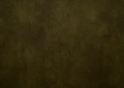 Olive material_farbe