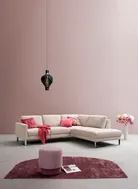 milieu