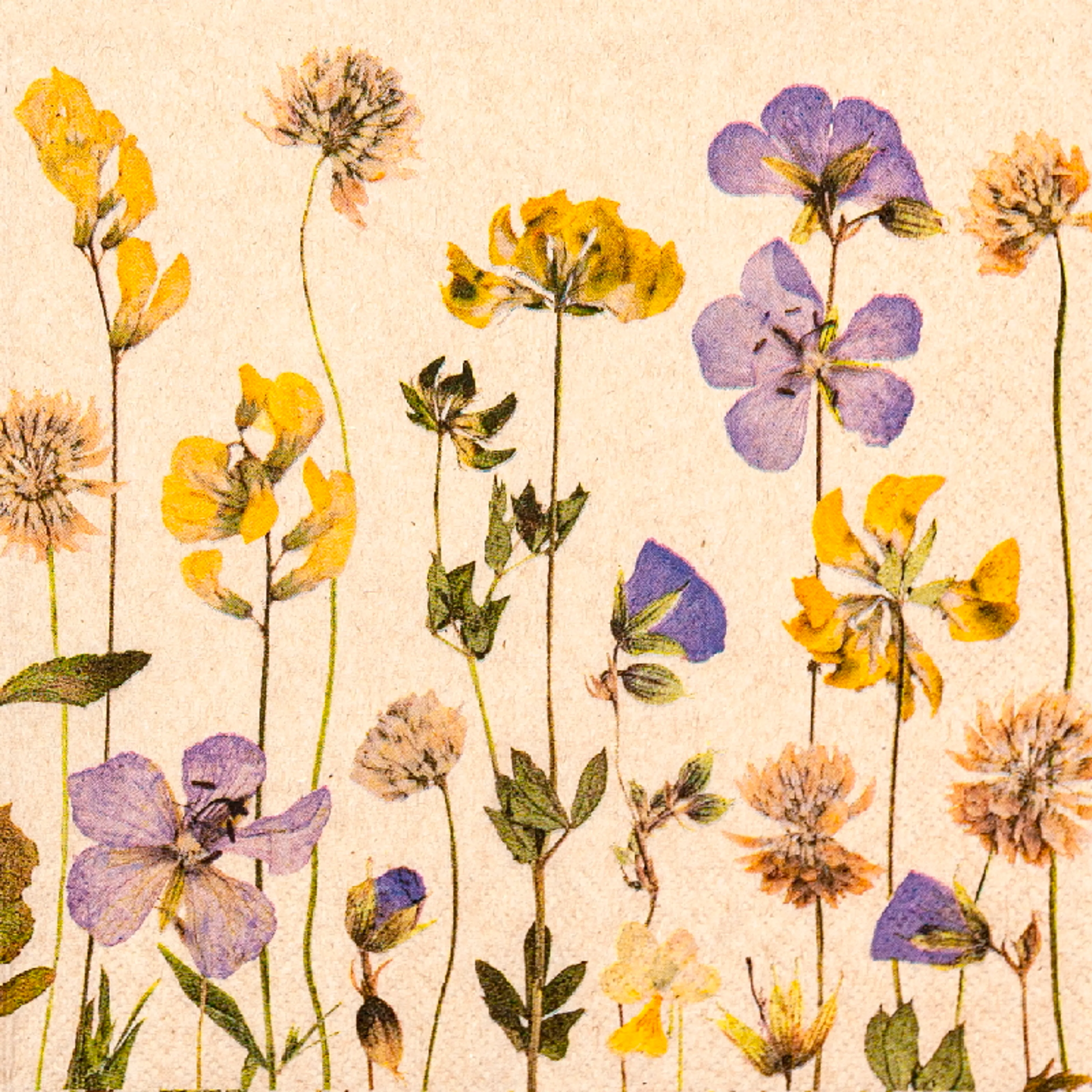 Serviette Pressed Flowers 20tlg.
