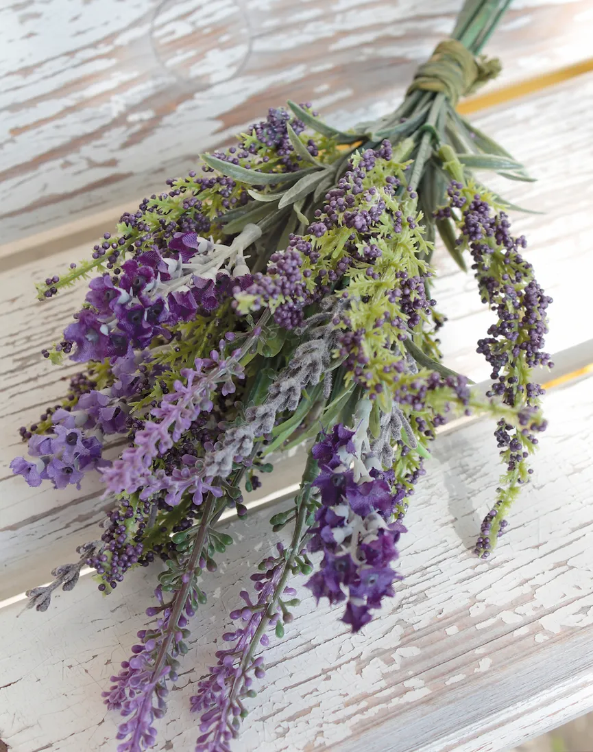 Lavendel-Astilbe-Bund lavendel milieu