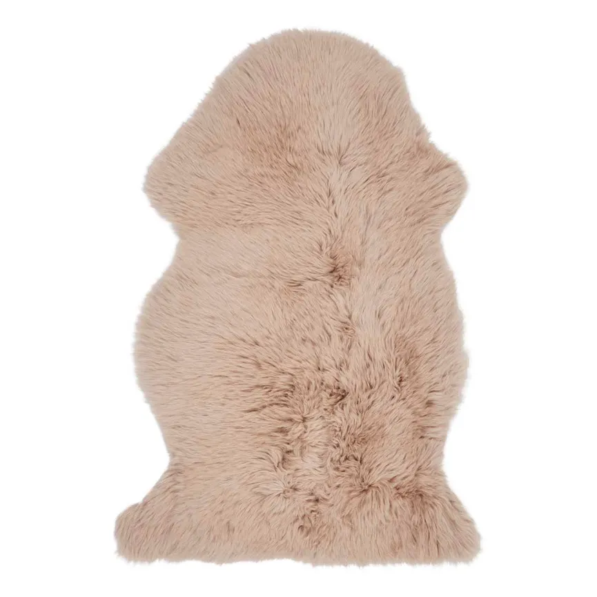 Schaf- hauptaufnahme