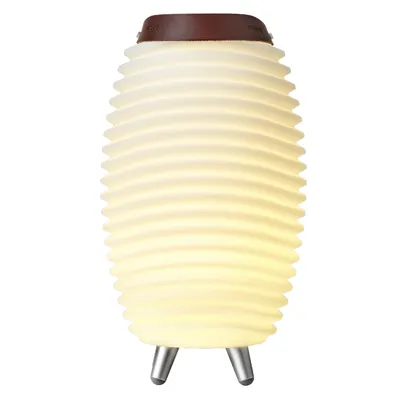 LED-Akkuleuchte
