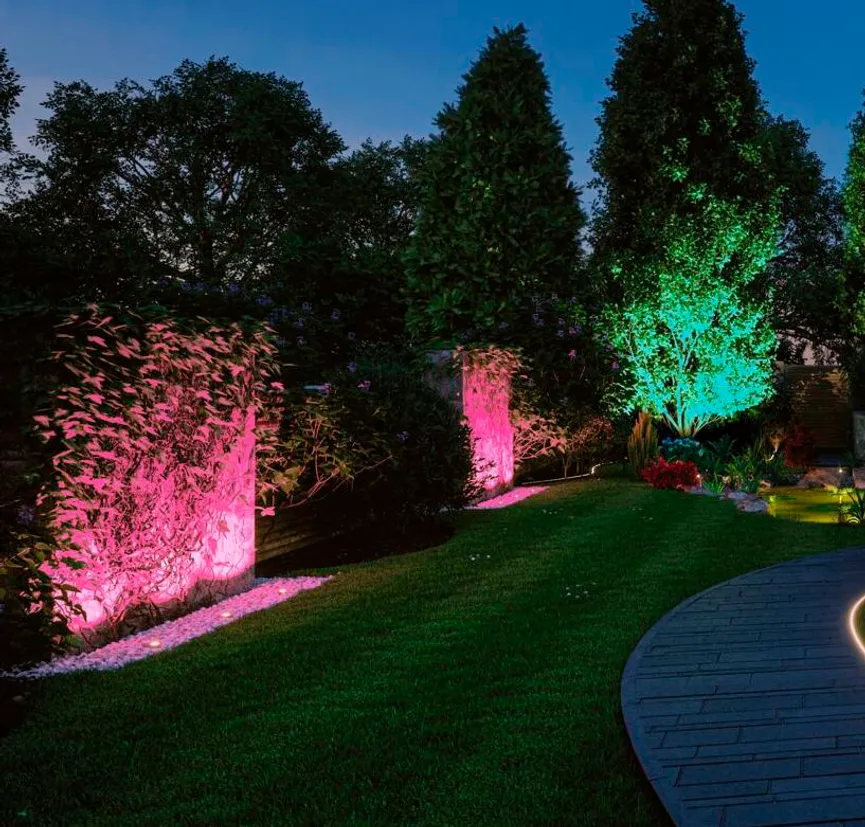 Plug&Shine Pike Basisset milieu