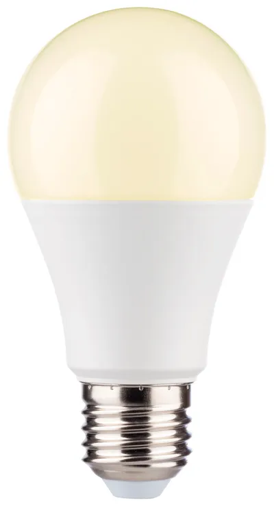 LED-Birne