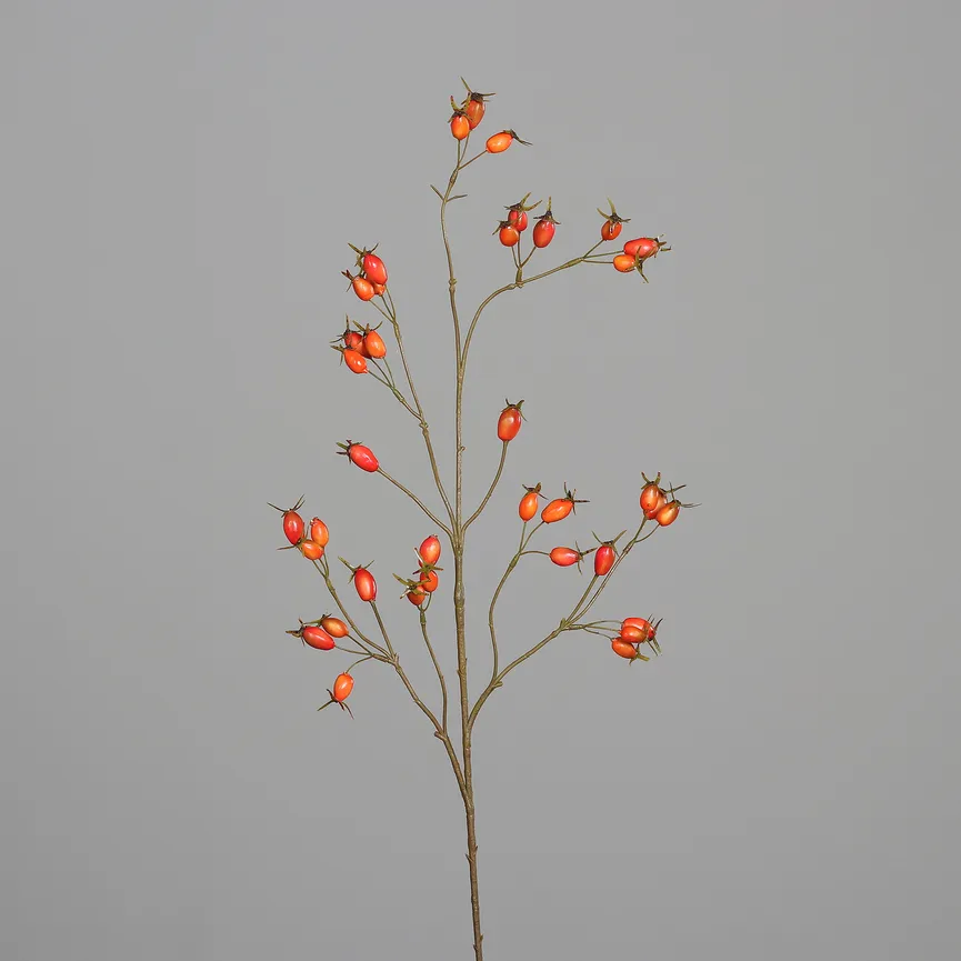 Hagebuttenzweig orange detail