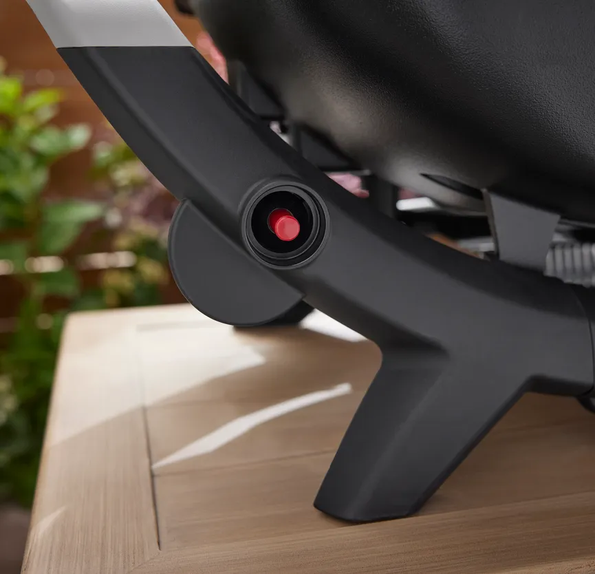 Weber Q2100N detail