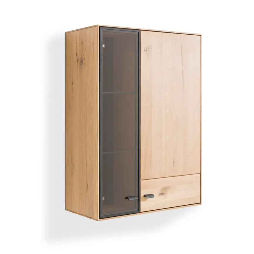 Hängevitrine hauptaufnahme