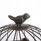 detail