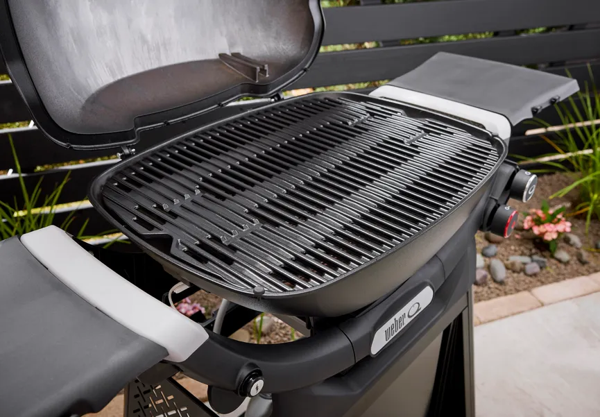 Weber Q2800N+ detail